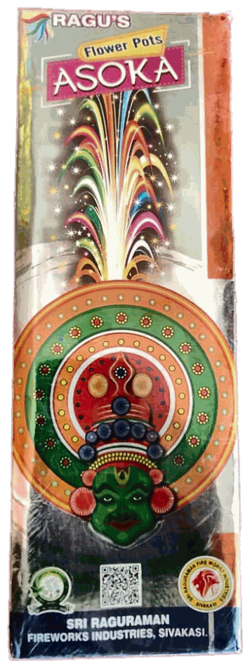 Flower Pot Ashoka (R)